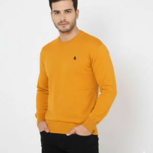 Erkek Bisiklet Yaka Nakış işlemeli Triko Kazak yumuşak dokulu Pamuklu ince - Turuncu