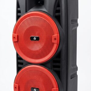 Çift Woofer Bluetooth Hoparlör Taşınabilir Kablosuz Ses Sistemi Yüksek Ses Gücü Mikrofon Destekli