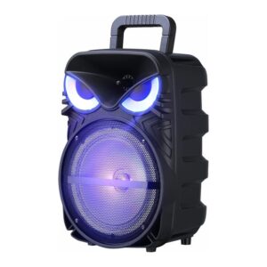 GD G PK-17 RGB TWS Bluetooth Hoparlör 8 İnç – Mikrofonlu, FM Radyolu, Stereo Bass Karaoke Speaker